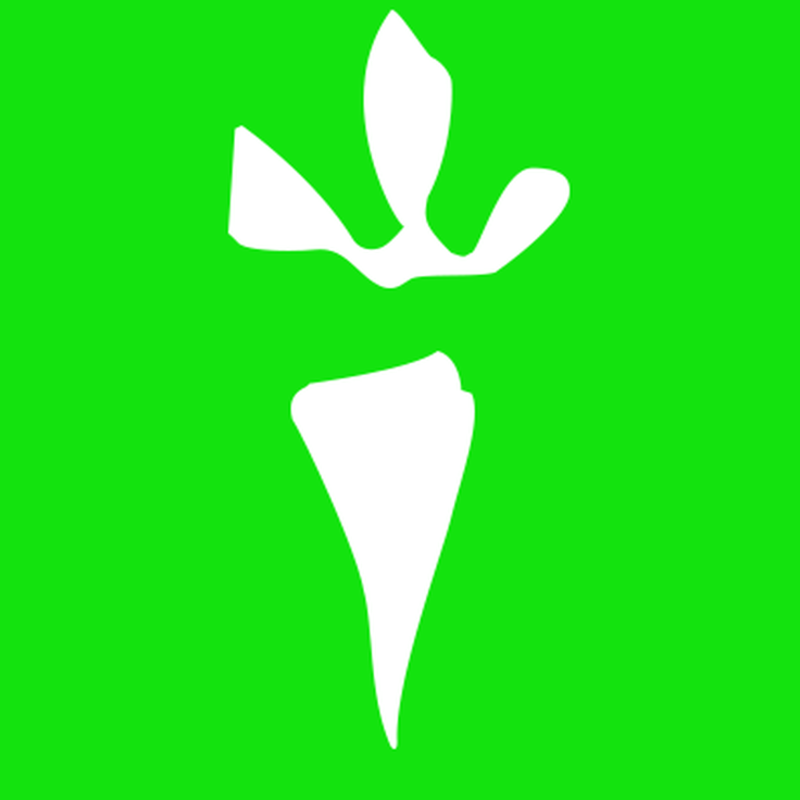 detoxification works supplements
